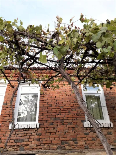 Продава КЪЩА