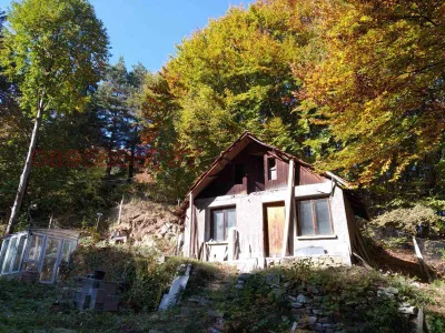 ВИЛА