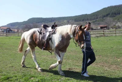 Къща за гости